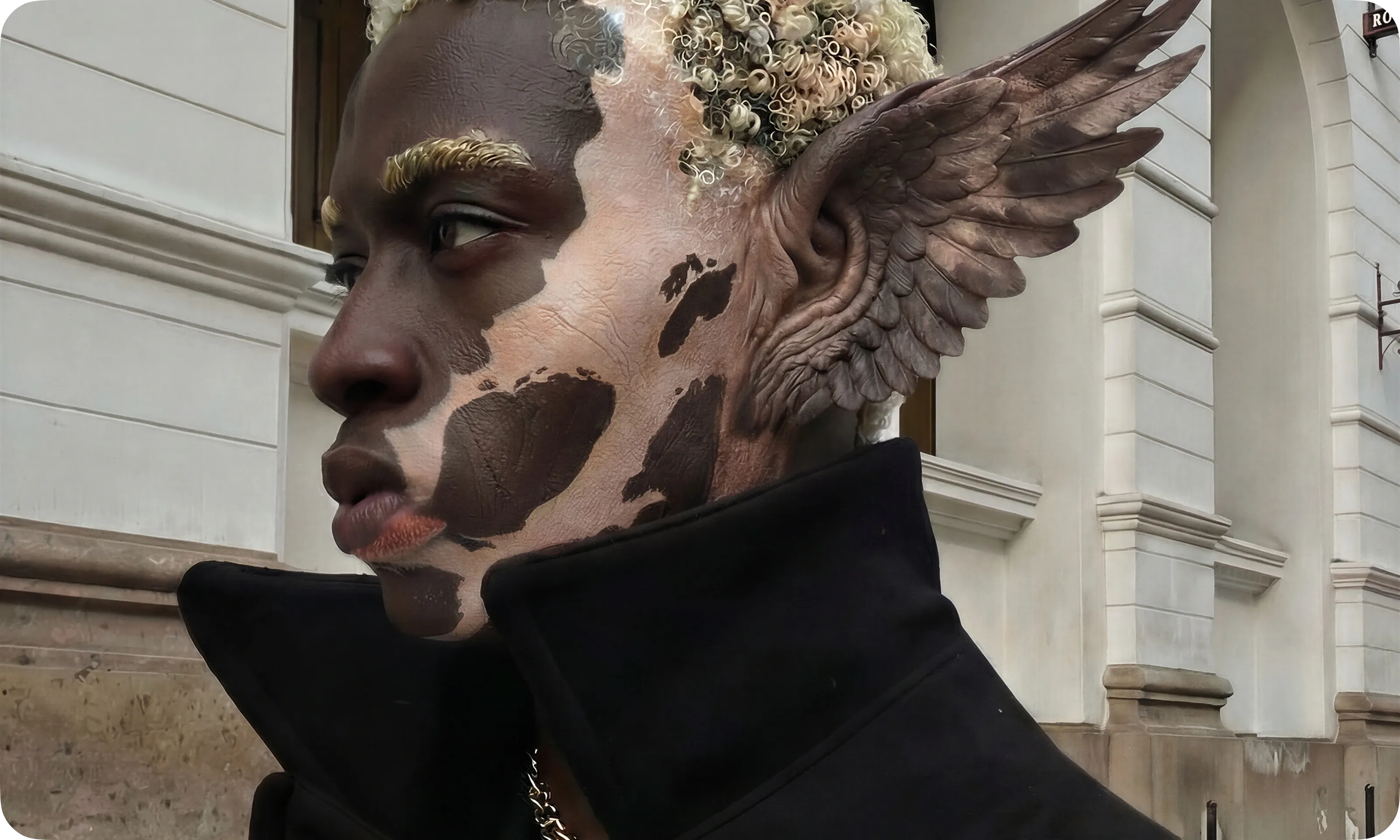 Cinema feature preview